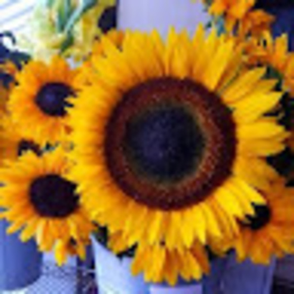 Meet your Posher, Rachel - Picture 1 of 1